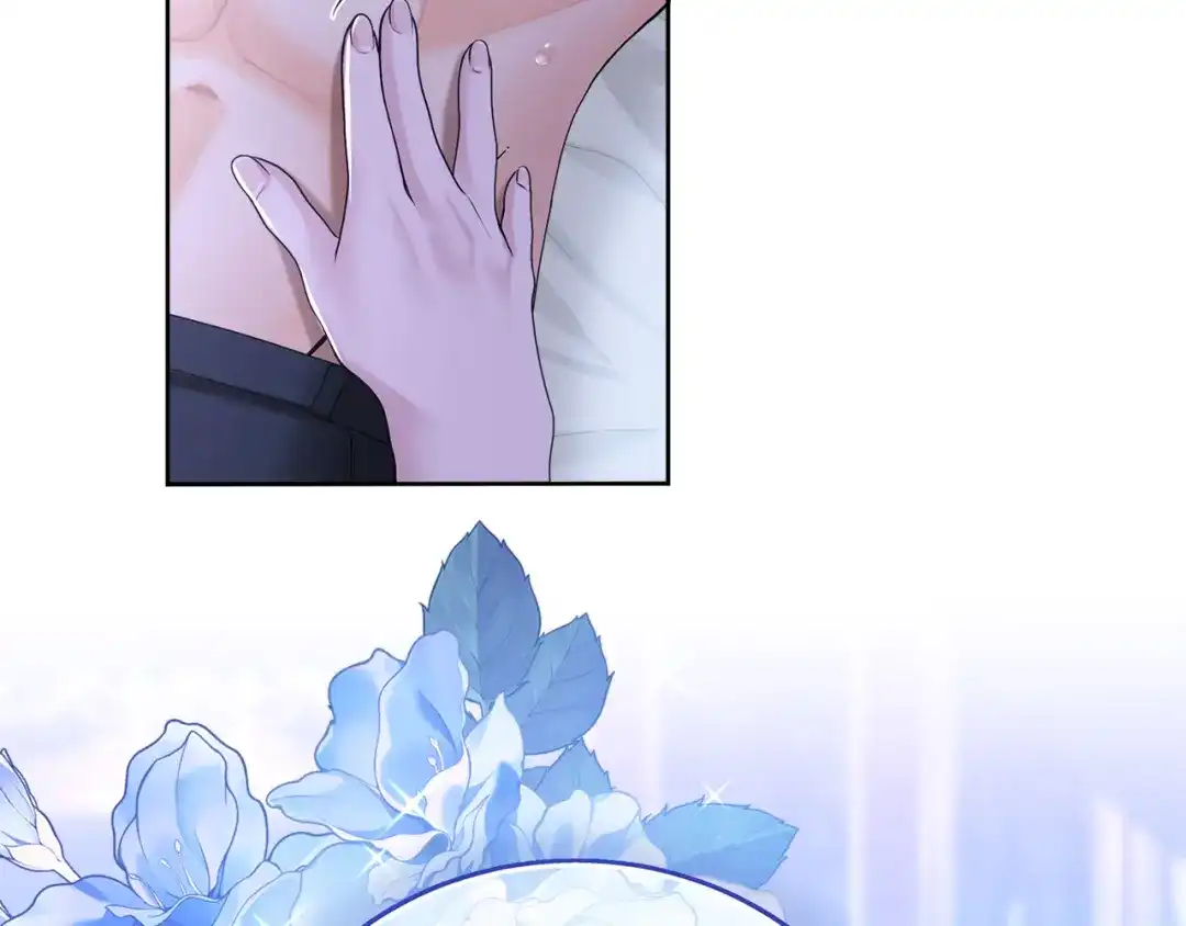 219.jpg