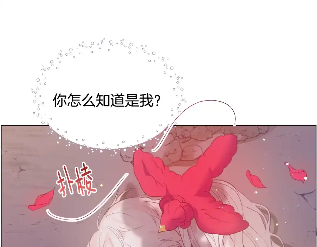 《被迫在乙女游戏里养鱼》第30话 公主抱 第39页