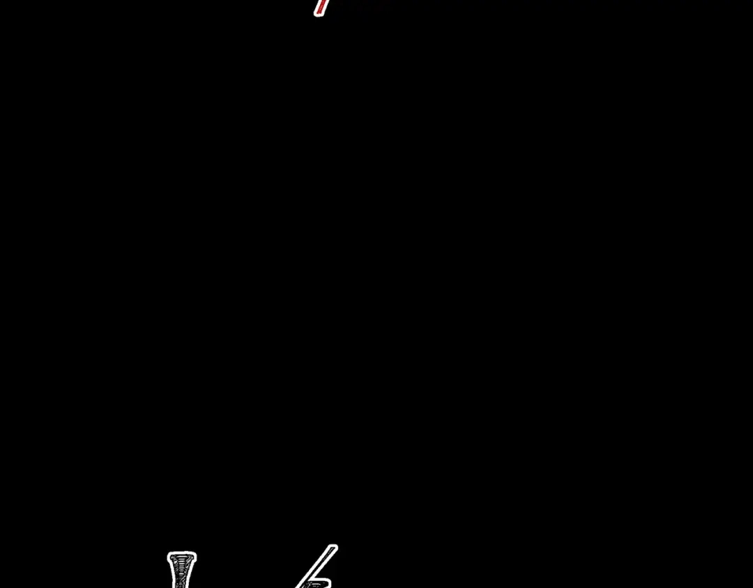 81.jpg