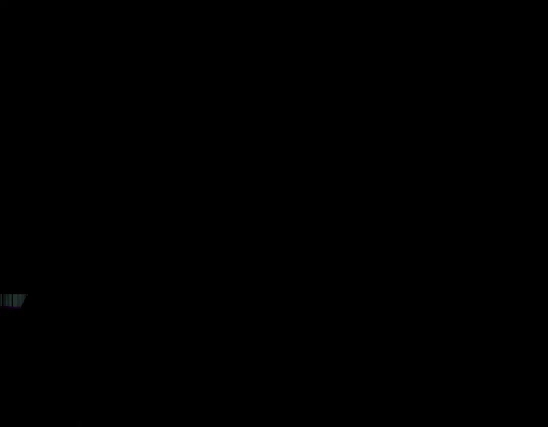 205.jpg
