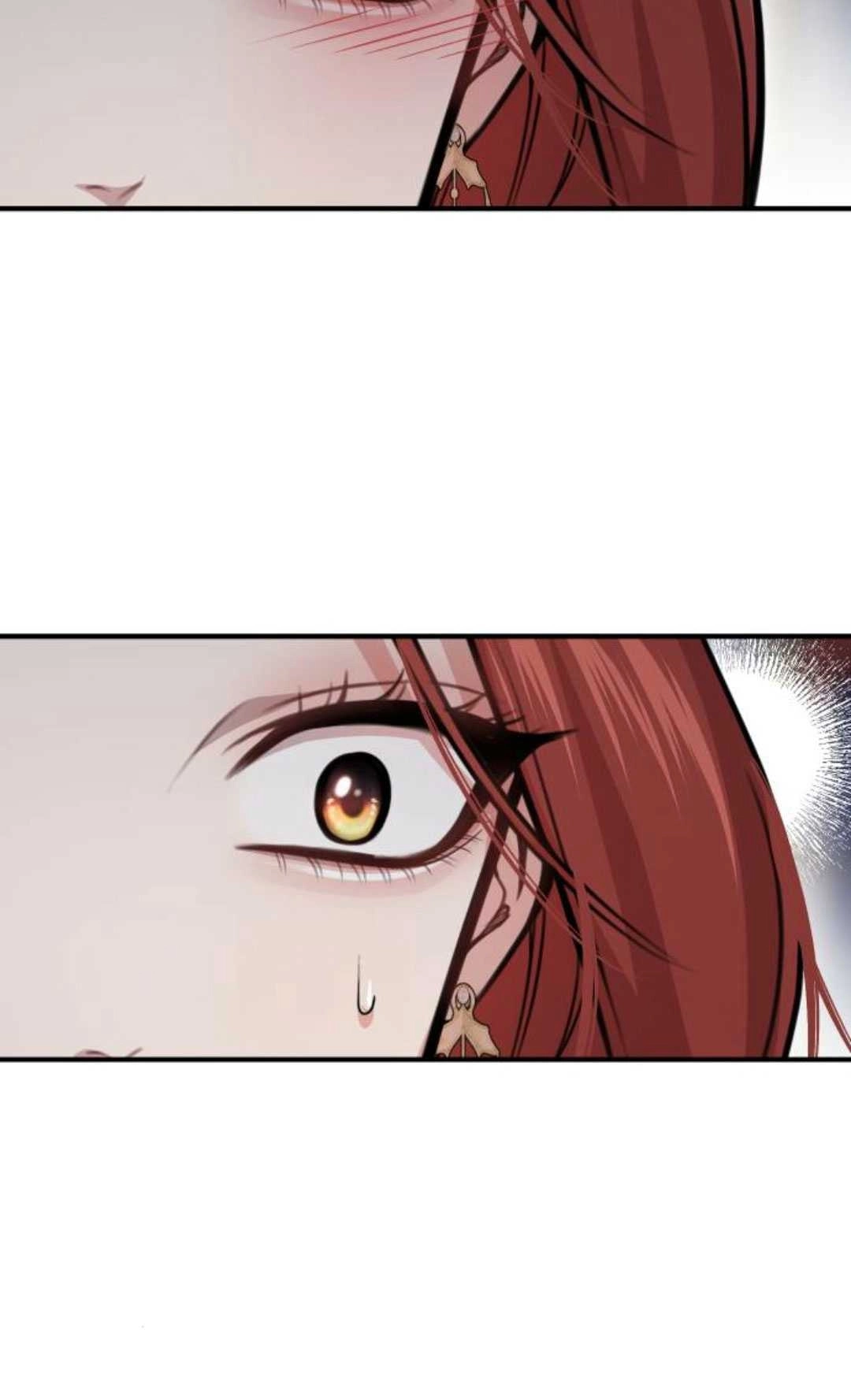 《被遗弃的王女的秘密卧室》第41话 第69页