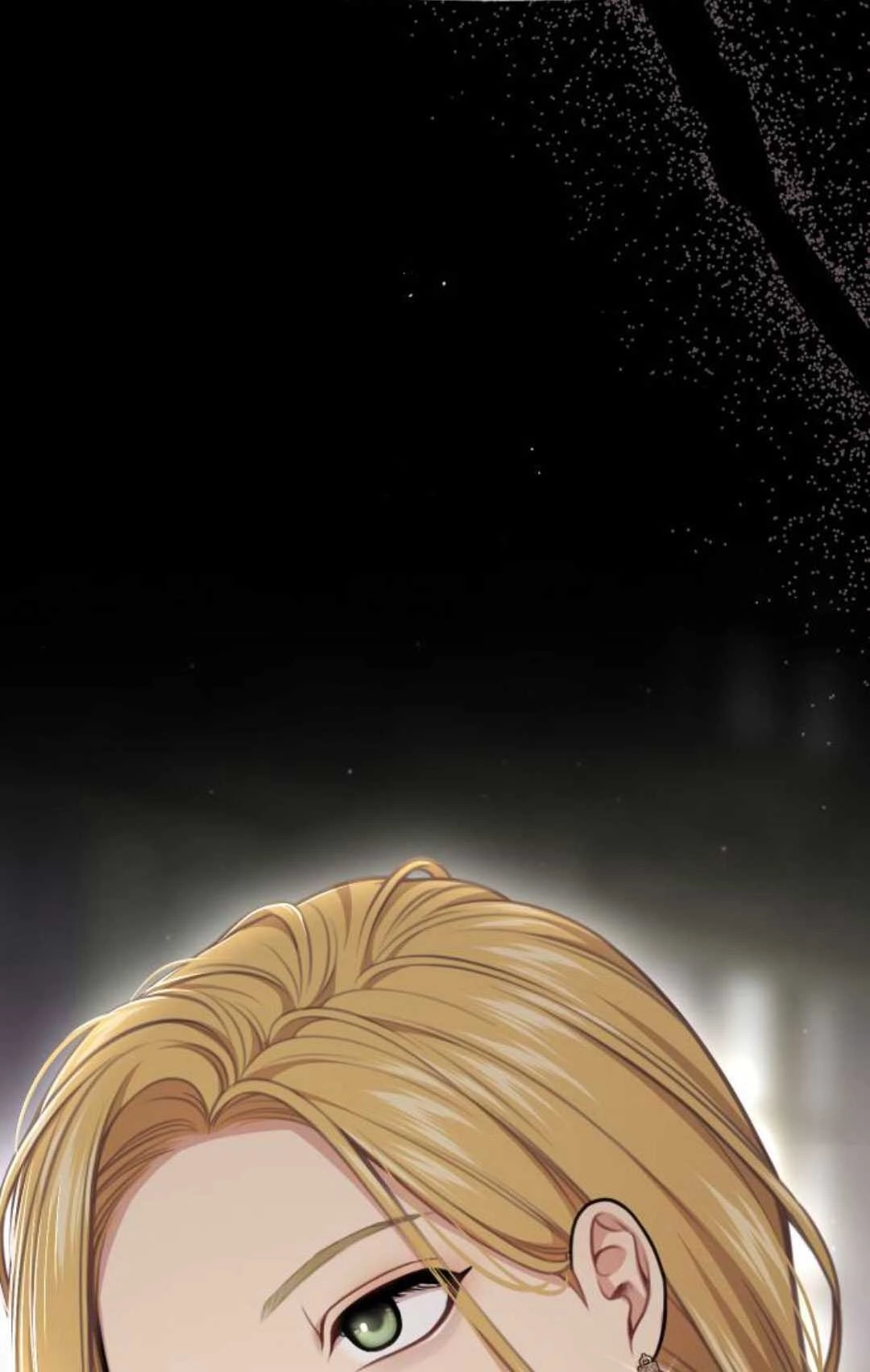 《被遗弃的王女的秘密卧室》第49话 第109页
