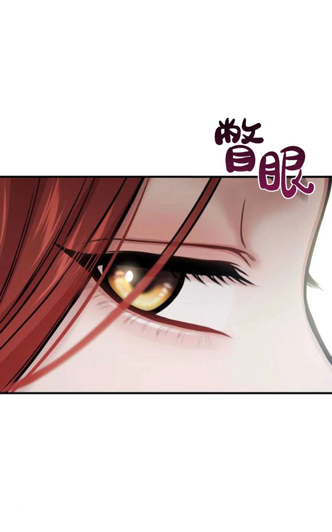 《被遗弃的王女的秘密卧室》第56话 第46页