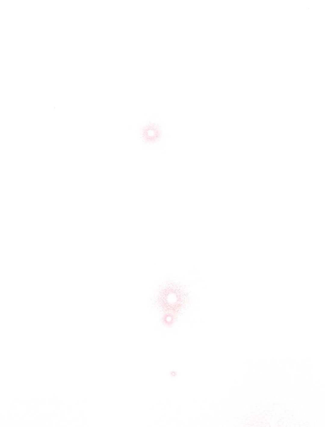 《被遗弃的王女的秘密卧室》第61话 第53页