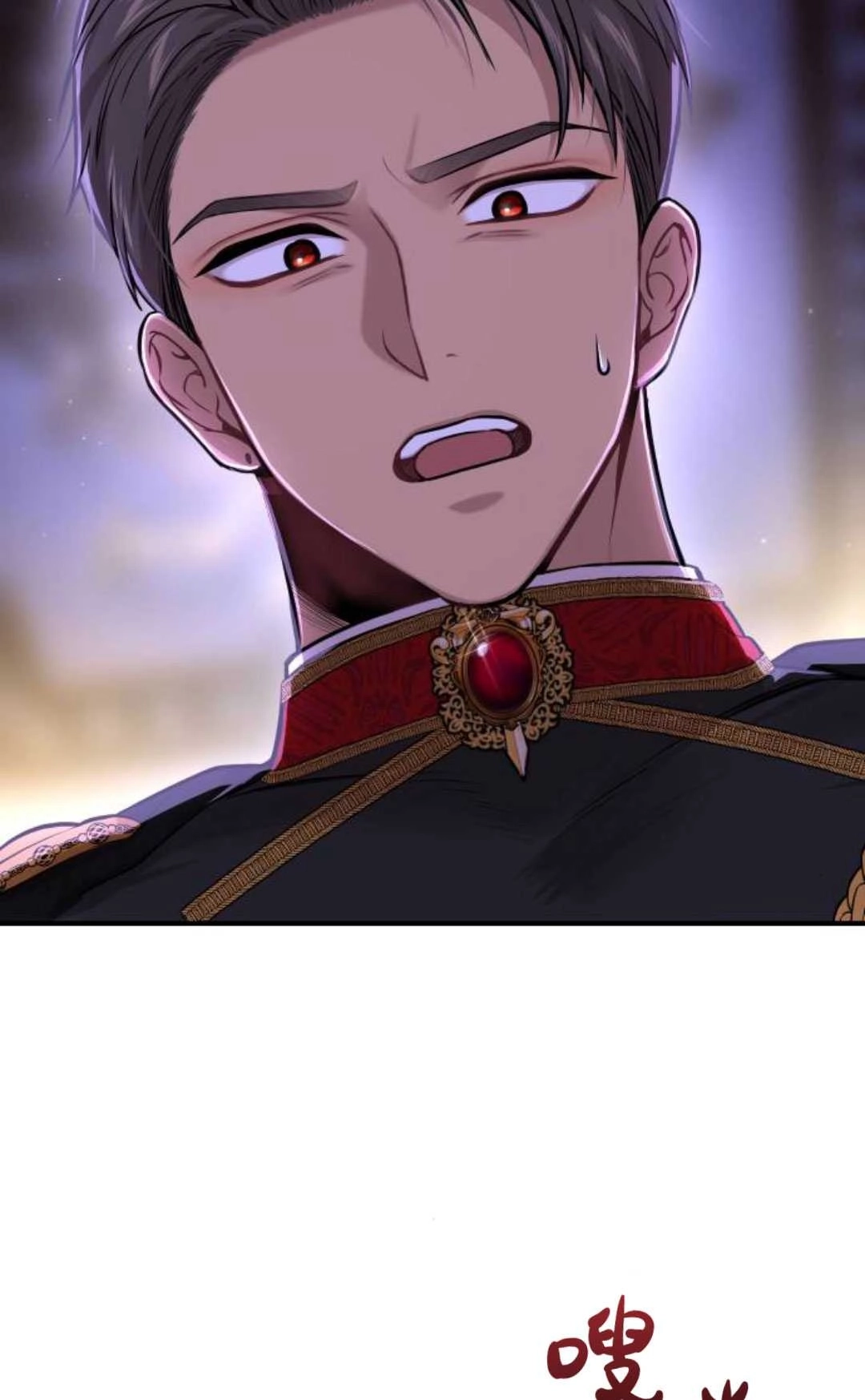 《被遗弃的王女的秘密卧室》第64话 第85页
