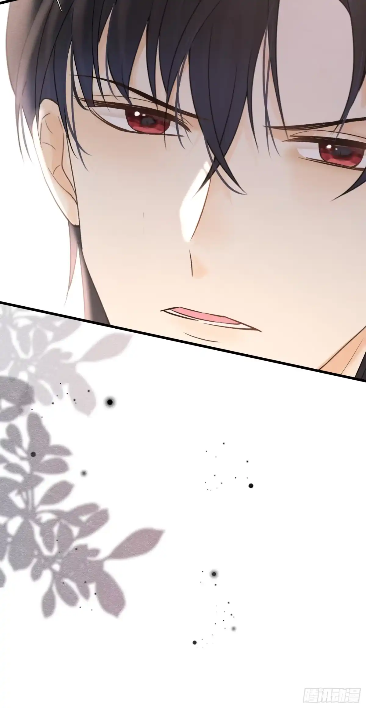 《被主教大人宠爱的日子》76 他最懂她 第13页