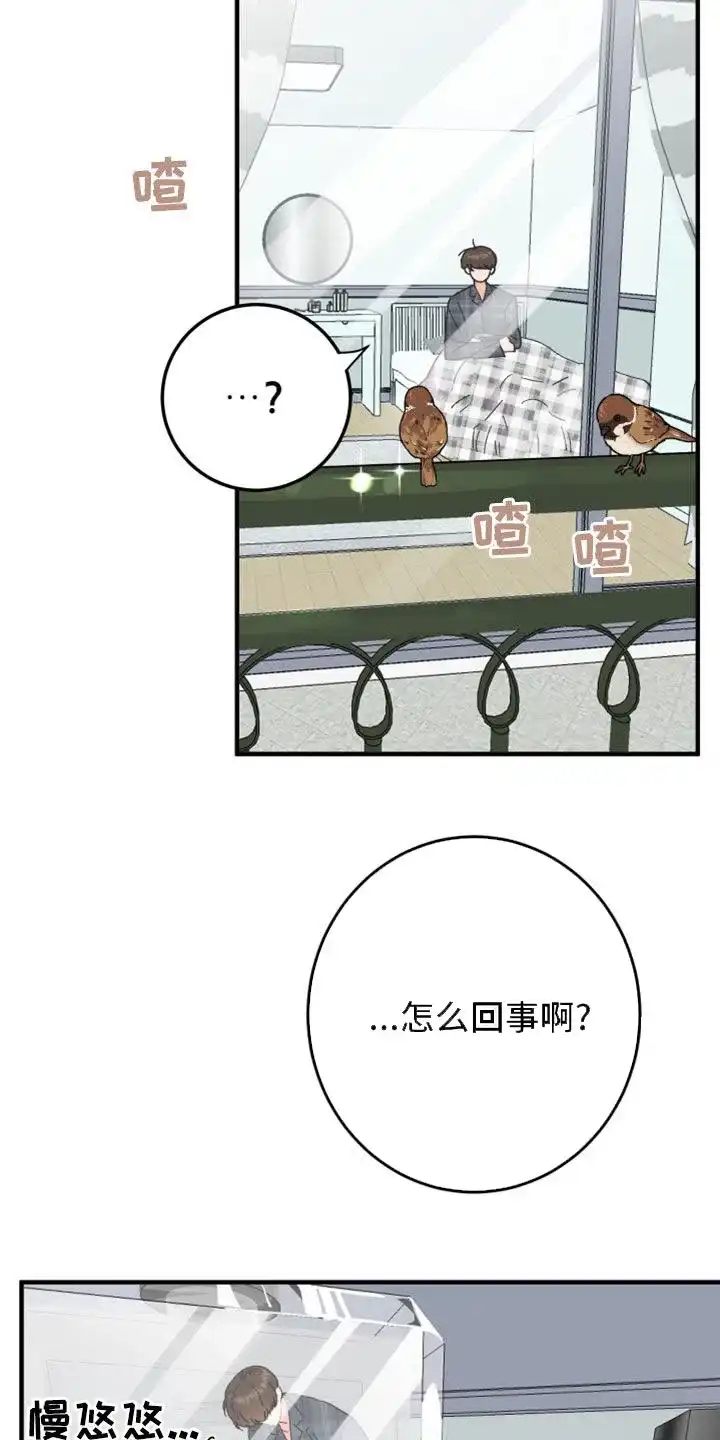 《被诅咒的爱情》第19话 第5页