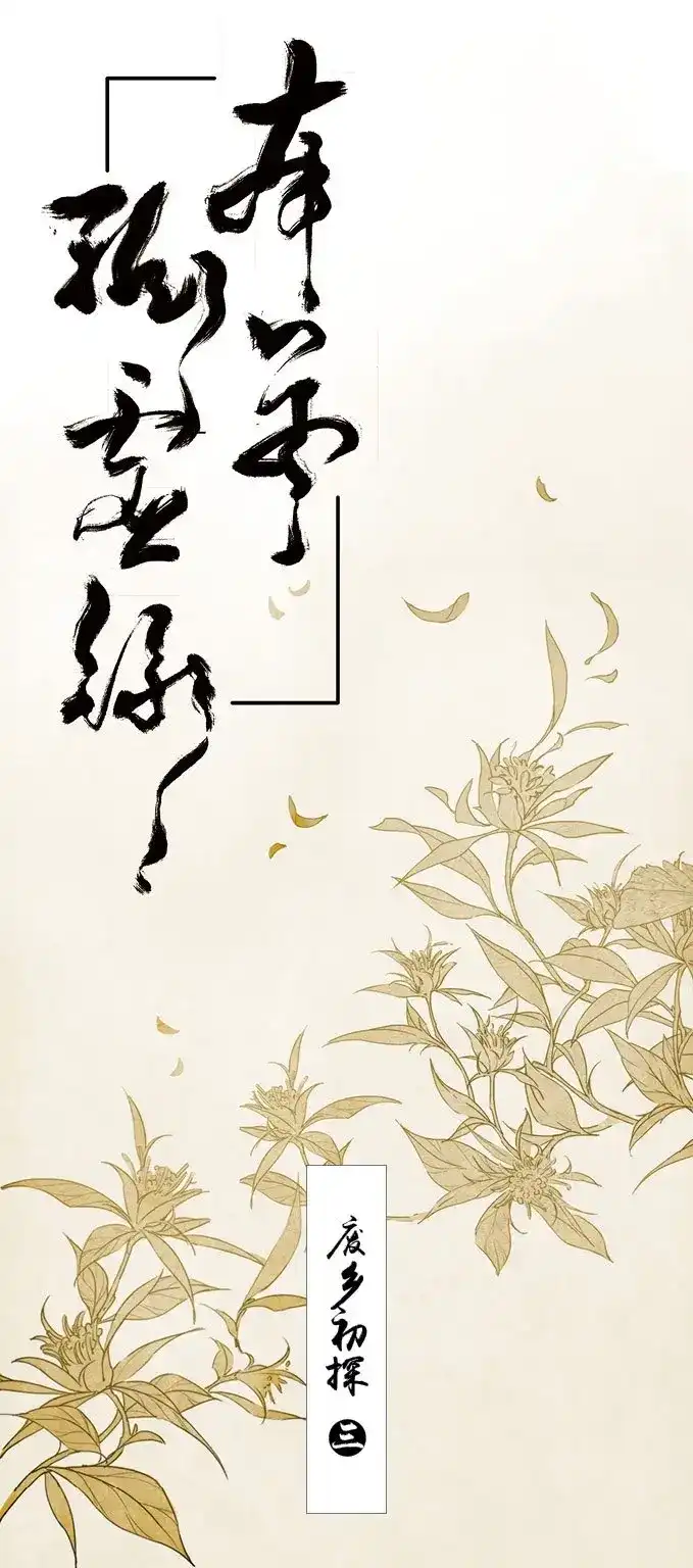 本草孤虚录 第10话 废乡初探（三） 第1页