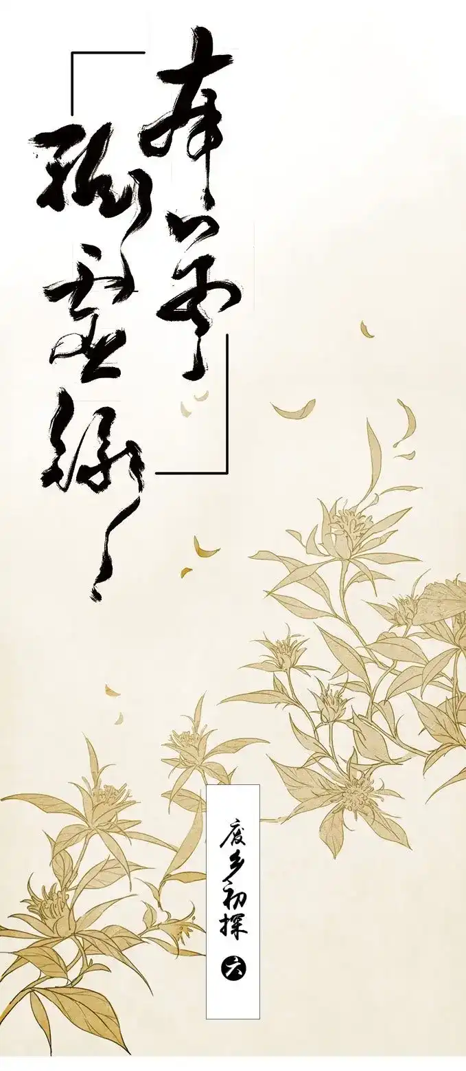 本草孤虚录 第14话 废乡初探（六） 第1页