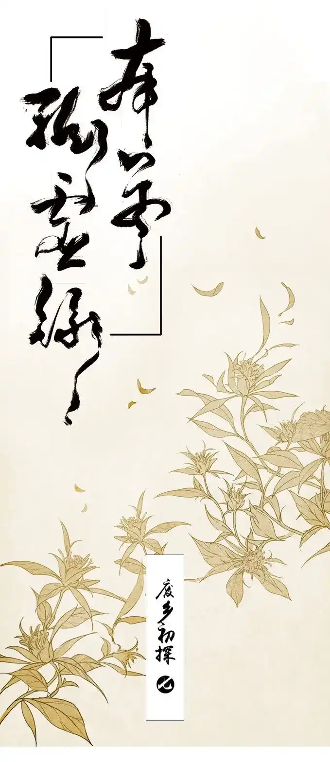 本草孤虚录 第15话 废乡初探（七） 第1页