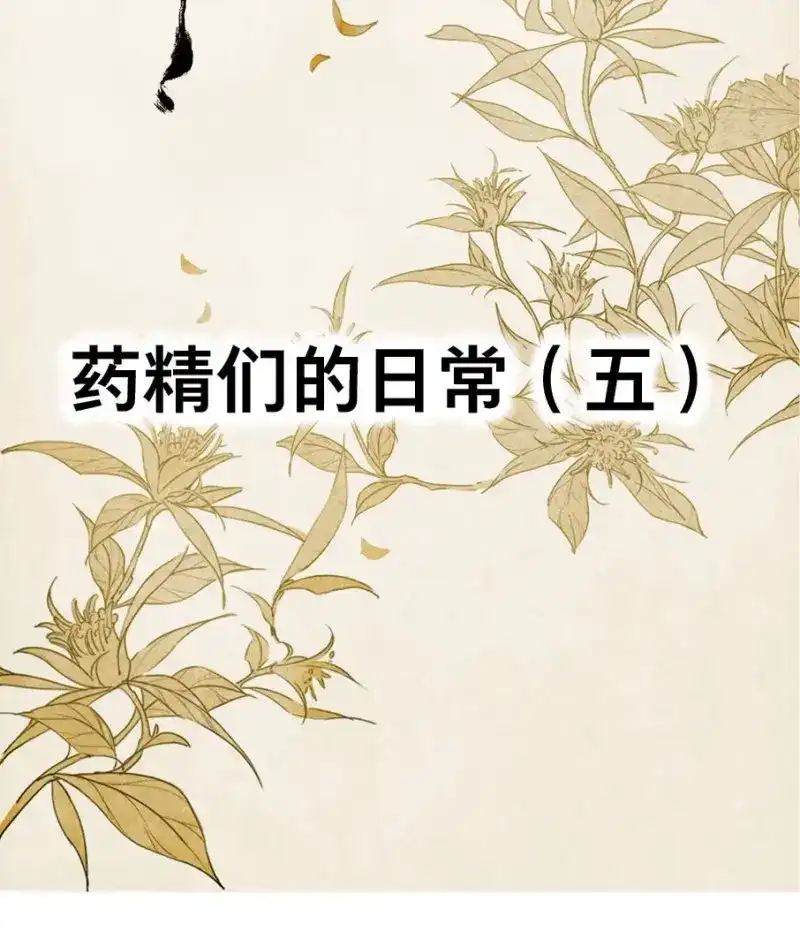 本草孤虚录 第22话 四格·药精们的日常⑤ 第2页