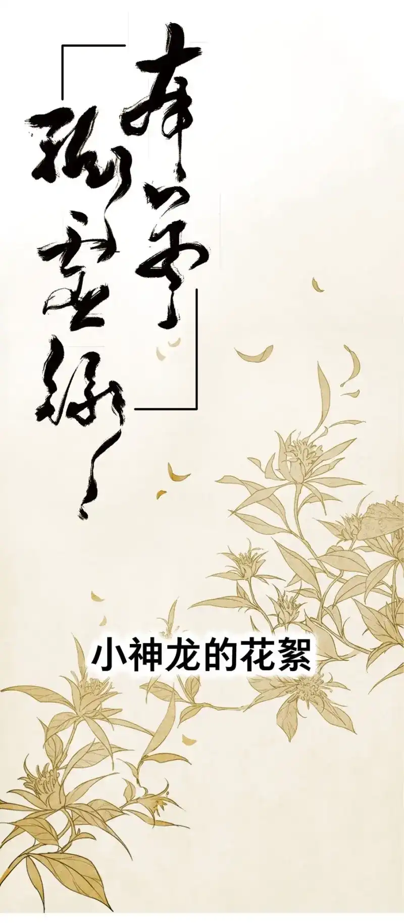 本草孤虚录 第28话 小神龙的花絮 第1页