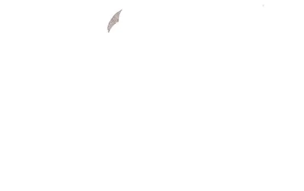 本草孤虚录 第33话 入局（四） 第7页