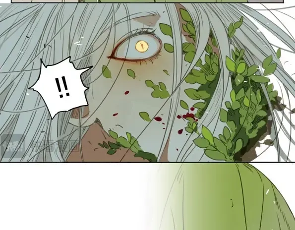 本草孤虚录 第36话 入局（七） 第53页