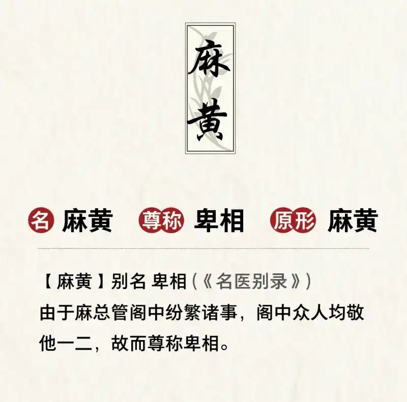 本草孤虚录 第40话 你的小龙龙冒泡了~ 第15页