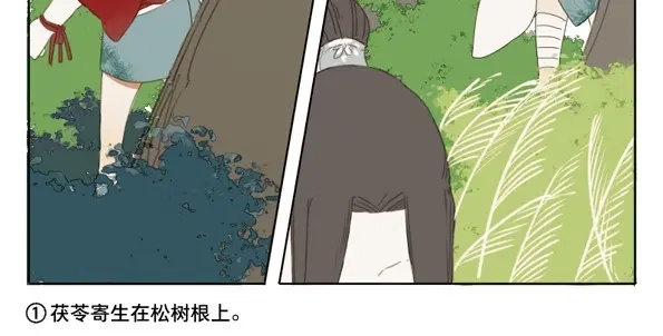 本草孤虚录 第45话 交锋（一） 第31页
