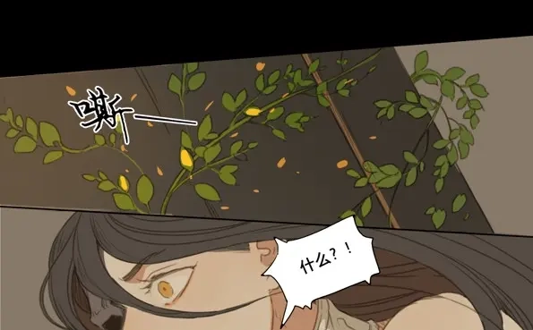 本草孤虚录 第49话 交锋（五） 第29页