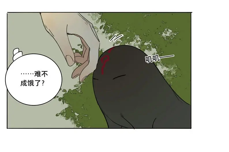 本草孤虚录 第58话 邂逅（一） 第30页