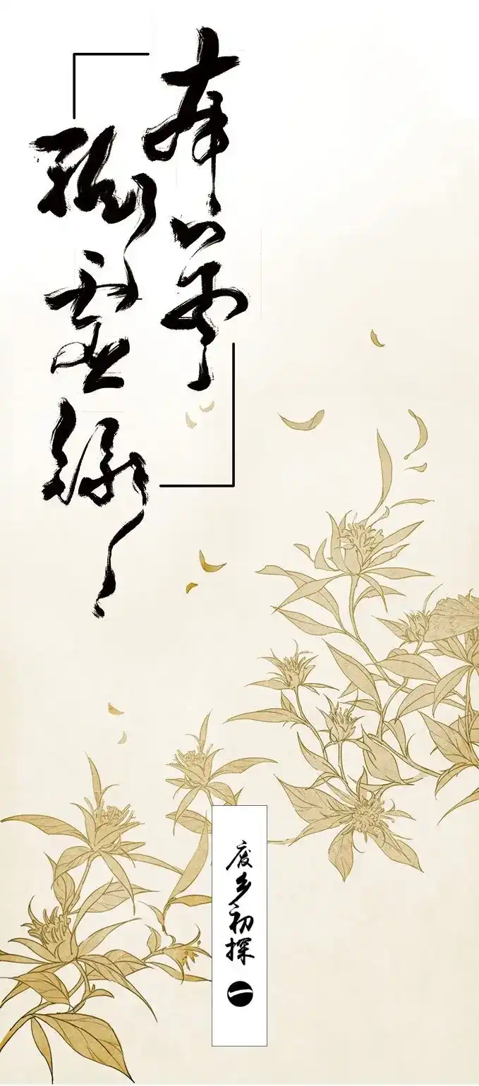 本草孤虚录 第7话 废乡初探（一） 第1页