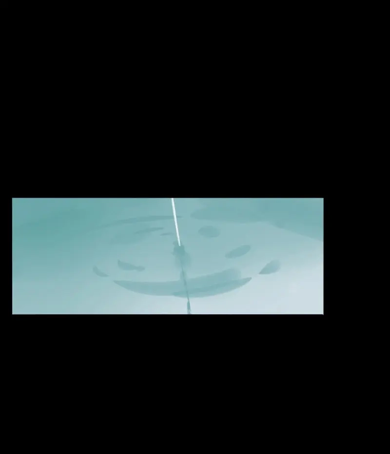 本草孤虚录 第80话 情局（十五） 第9页