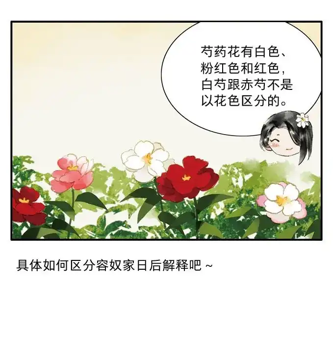 本草孤虚录 第9话 四格·药精们的日常② 第64页