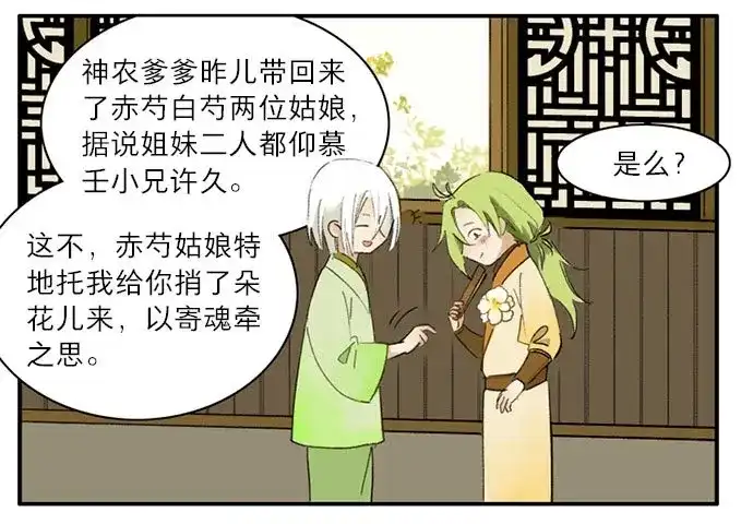 本草孤虚录 第9话 四格·药精们的日常② 第35页