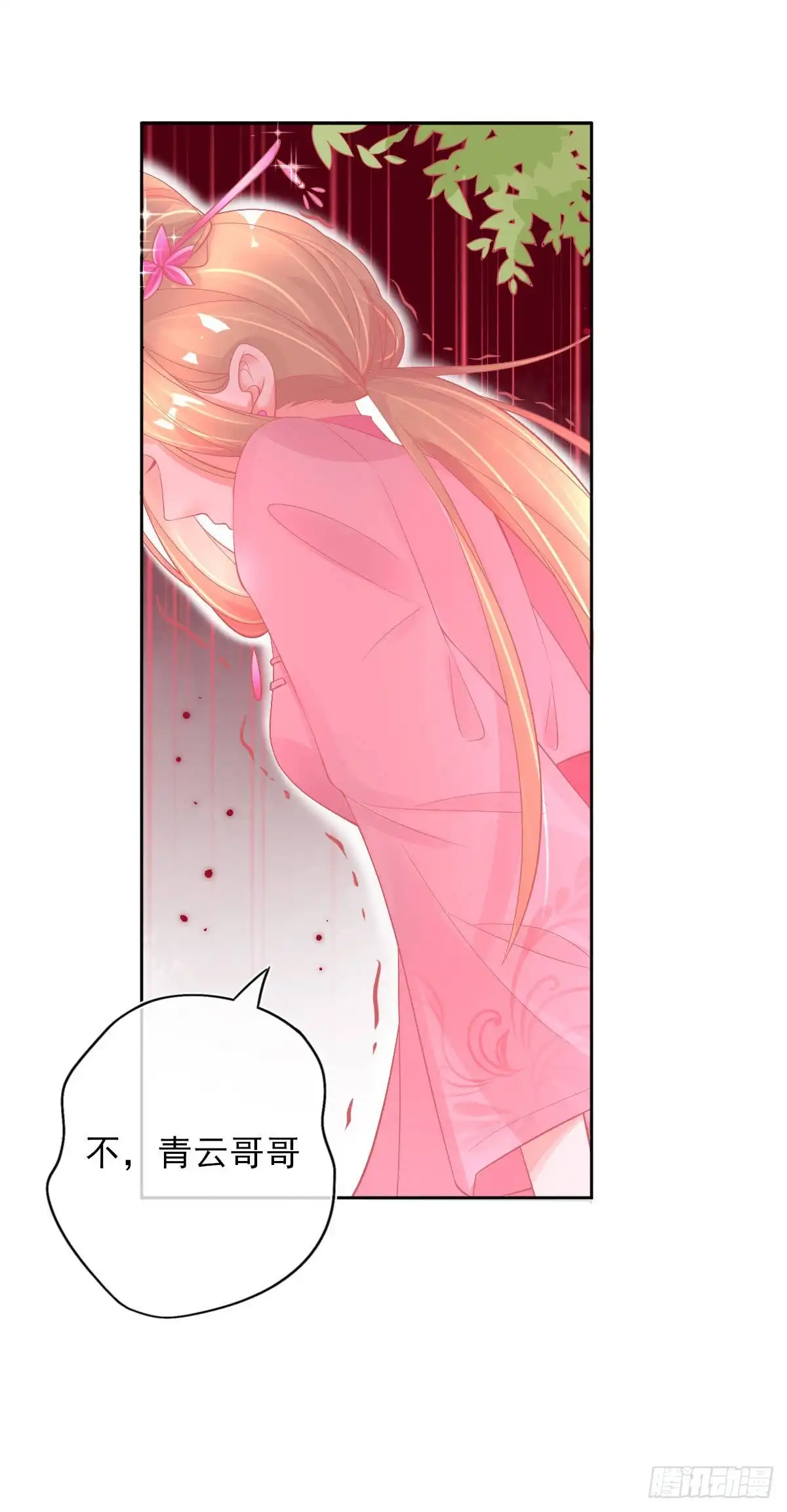 本王妃神藤在手 第27话 青云哥哥出现 第28页
