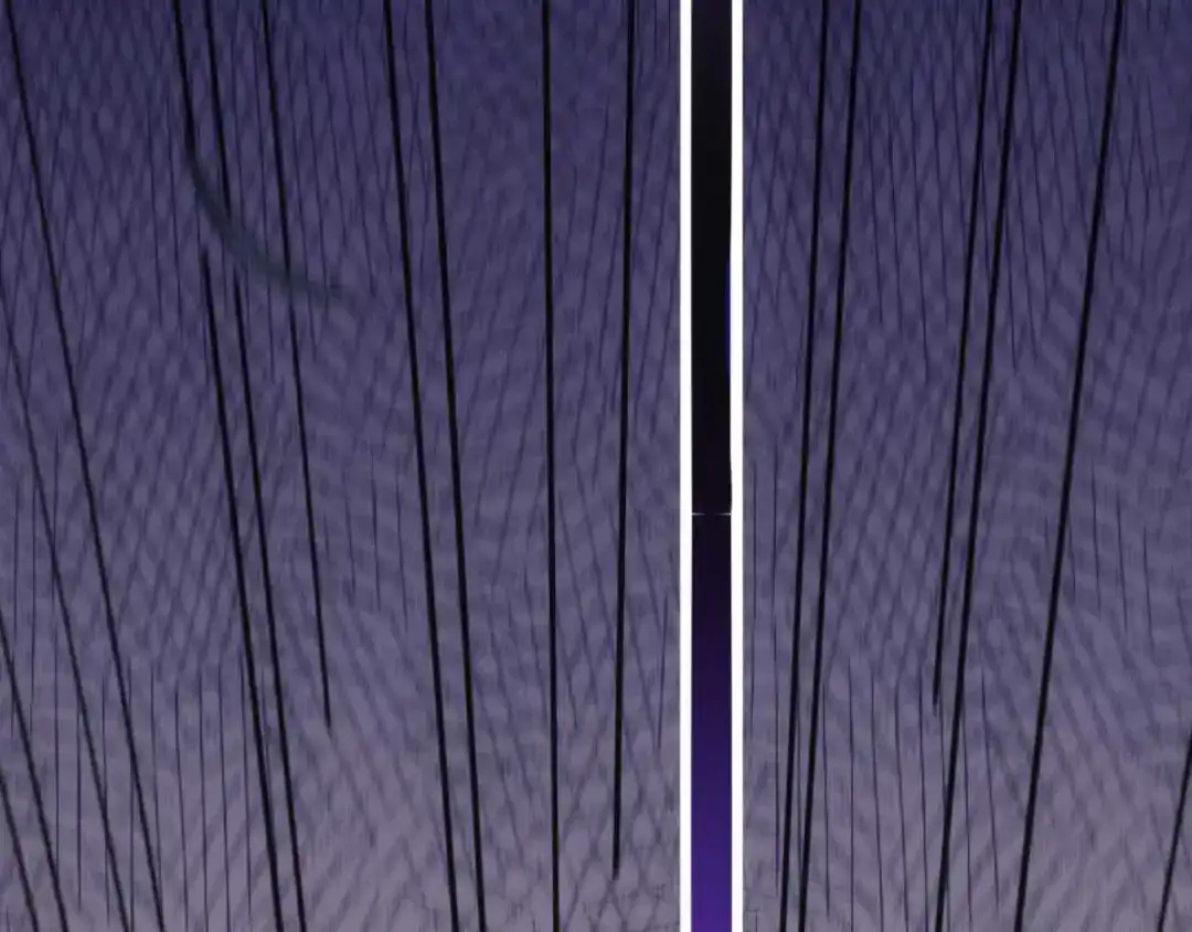 《本婿修的是贱道》第8话 春宵一刻值千金 第106页