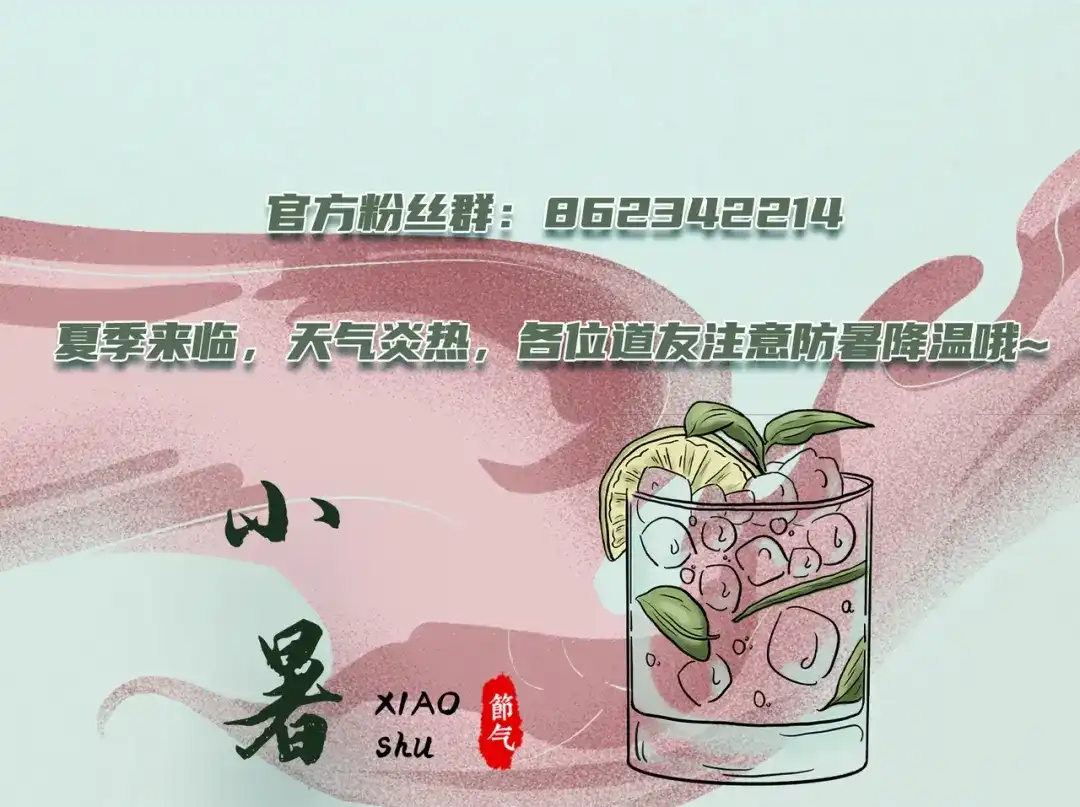 《本婿修的是贱道》第255话 姑爷大骗子 第102页