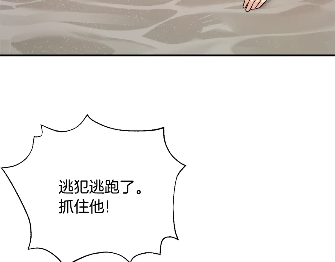 变成敌国皇帝的奴隶 第100话 重遇 第2页