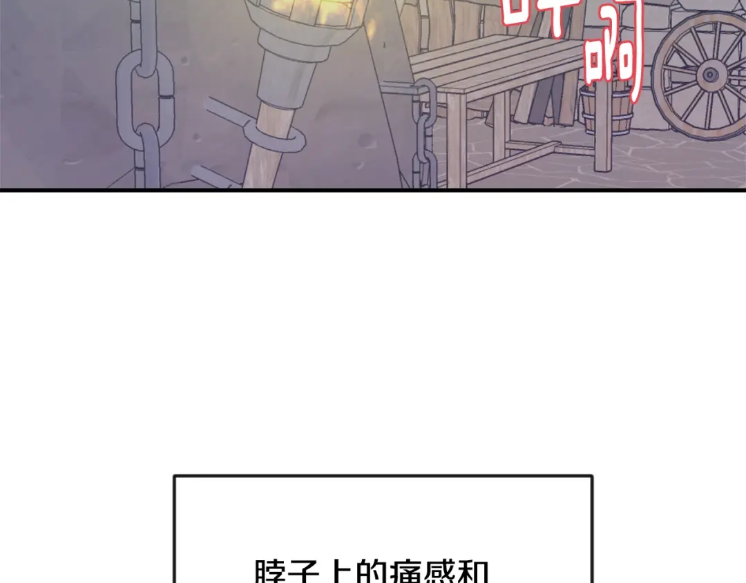 变成敌国皇帝的奴隶 第106话 囚禁 第24页