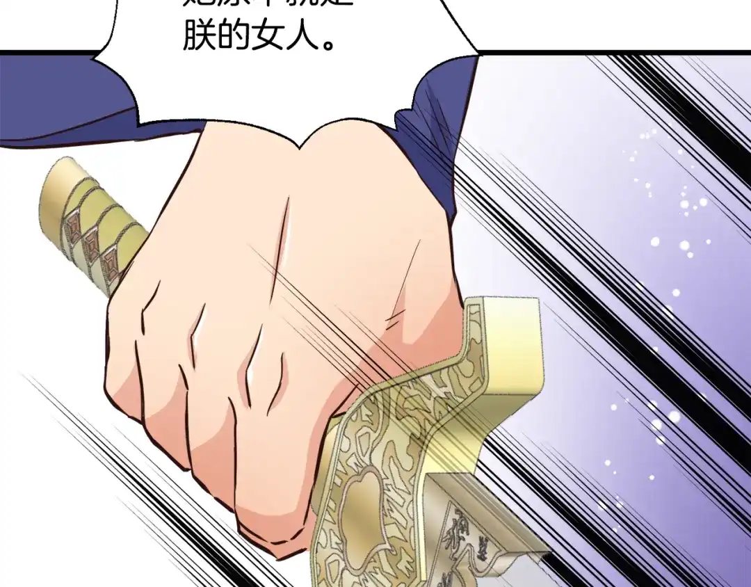 变成敌国皇帝的奴隶 第113话 掩护 第164页