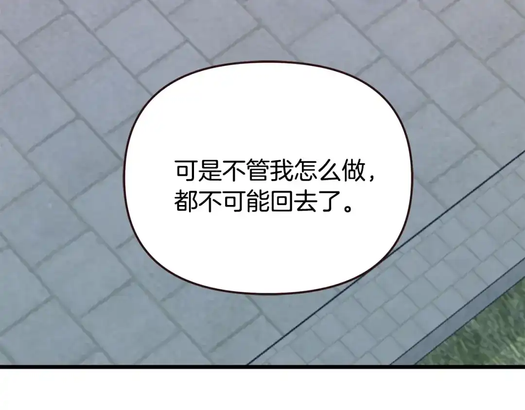 变成敌国皇帝的奴隶 完结话 兜兜转转 第209页