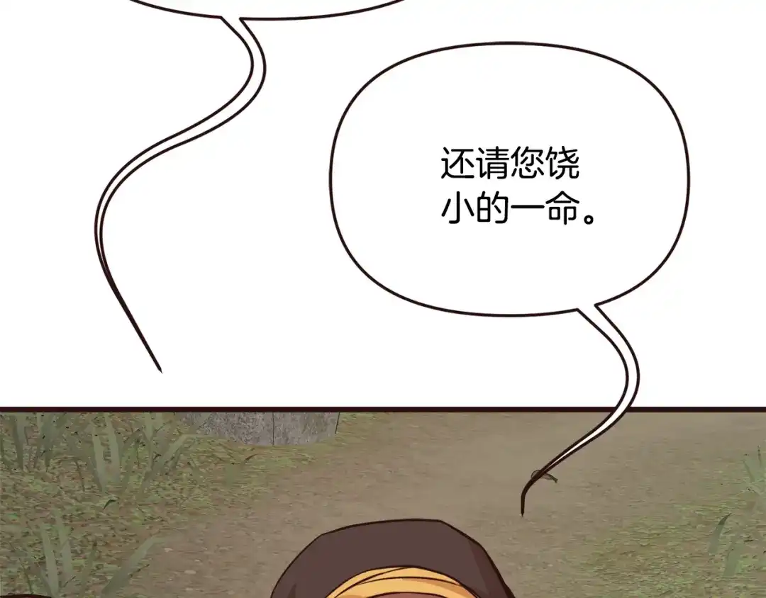 变成敌国皇帝的奴隶 完结话 兜兜转转 第37页