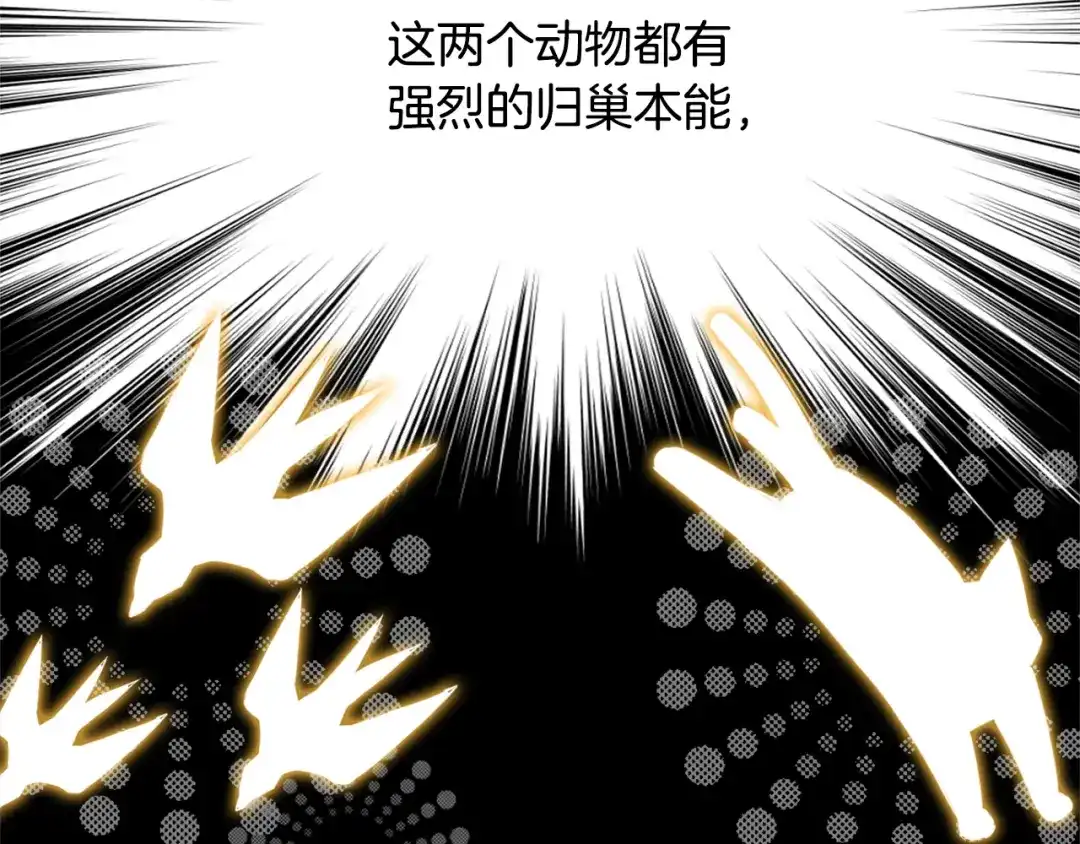 变成敌国皇帝的奴隶 第16话 猫和燕子 第33页