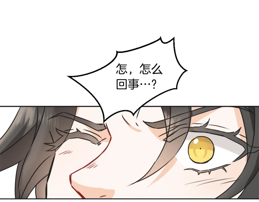变成敌国皇帝的奴隶 第29话 寻找奸细 第215页