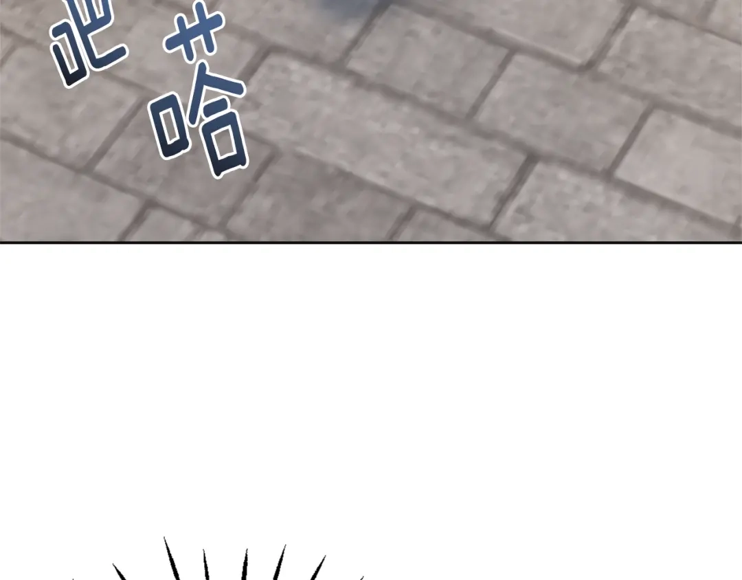 变成敌国皇帝的奴隶 第44话 你的母国 第144页