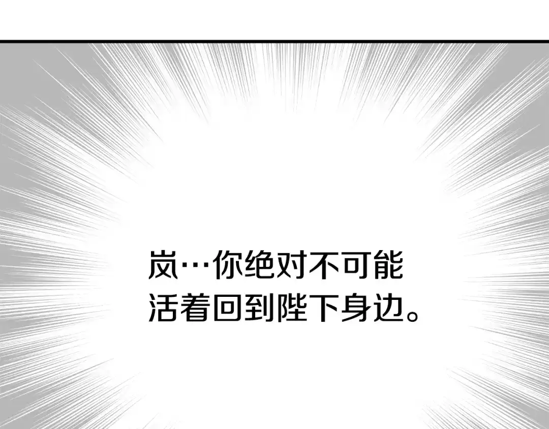变成敌国皇帝的奴隶 第81话 岚失踪了 第215页
