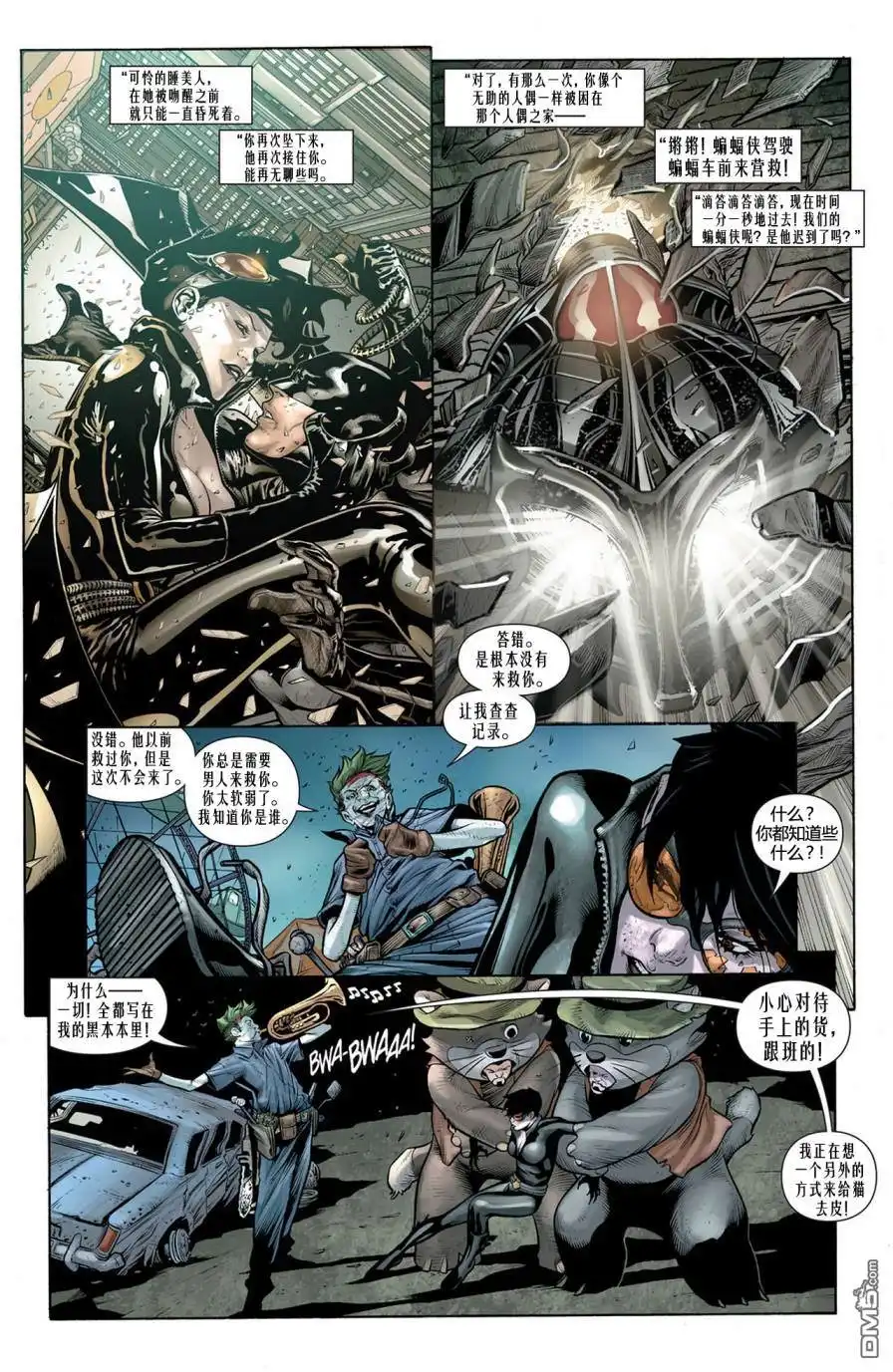《蝙蝠侠》支线猫女14 第11页