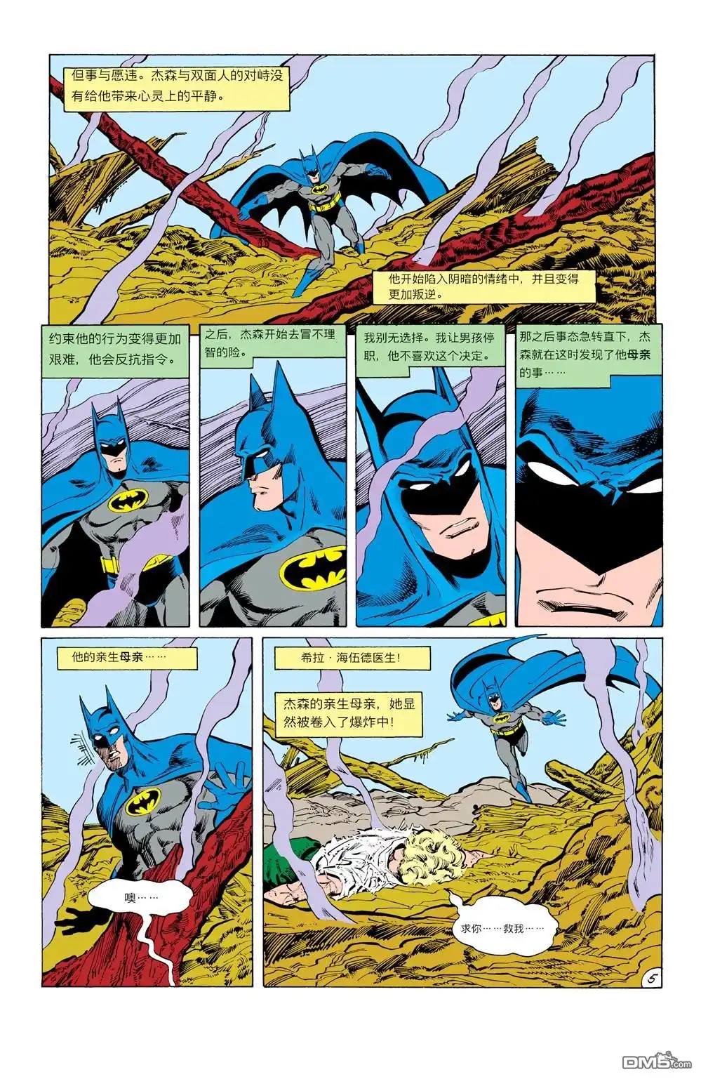 《蝙蝠侠：家庭之死》第428话 第6页