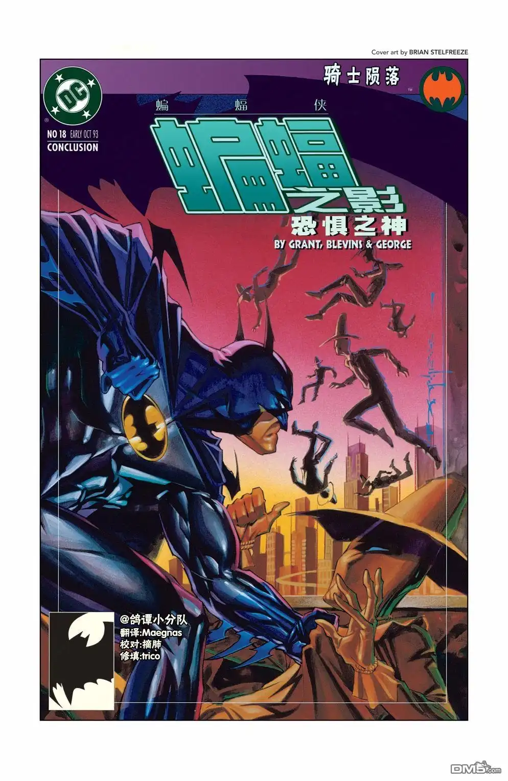 《蝙蝠侠：骑士陨落》020-蝙蝠之影#18 第1页