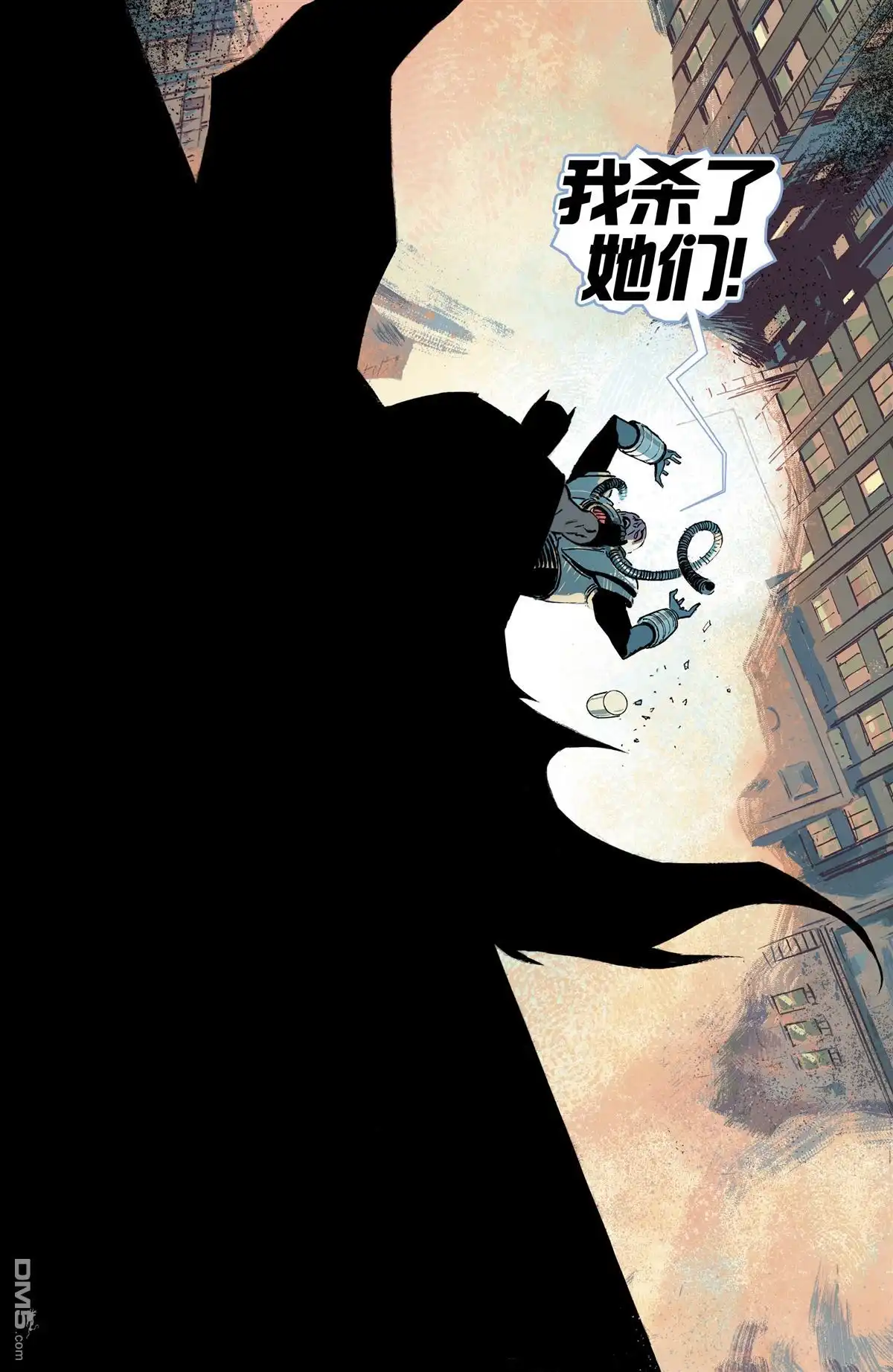 《蝙蝠侠v3》第51话 第19页