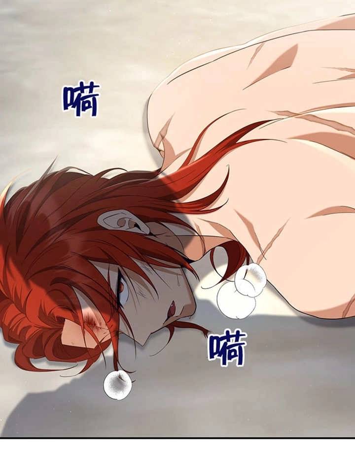 《边境伯的私生子是皇帝》第05话 第20页