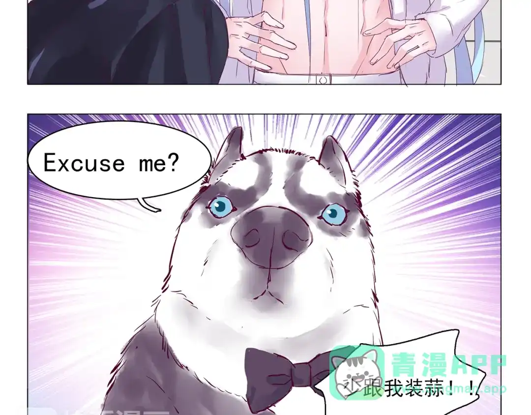 《别闹！我想静静……》第6话 只想吃你的皇家狗粮 第11页