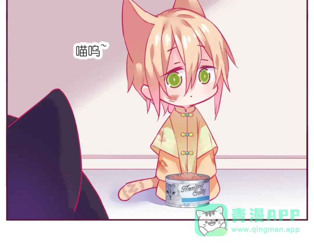 《别闹！我想静静……》第11话 新宠 第41页