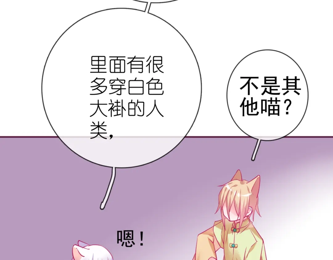《别闹！我想静静……》第14话 被喵绑架 第73页