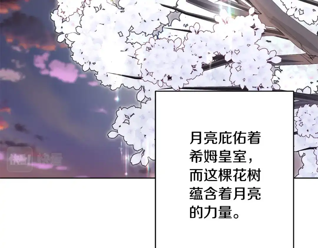 《陛下，别对我动心》第50话 会发光的花瓣 第82页