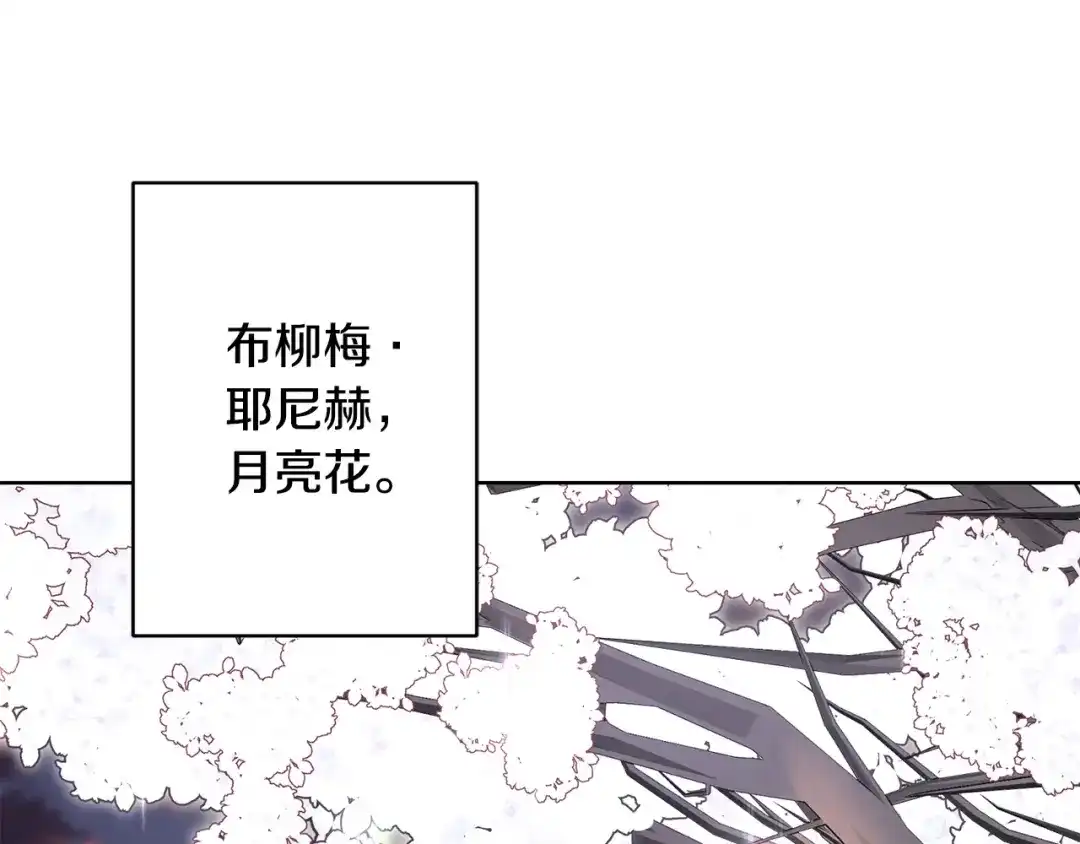 《陛下，别对我动心》第50话 会发光的花瓣 第81页