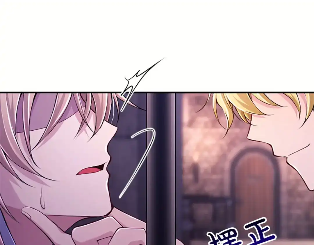 《陛下，这次由我来抚养！》第84话 兄弟 第207页
