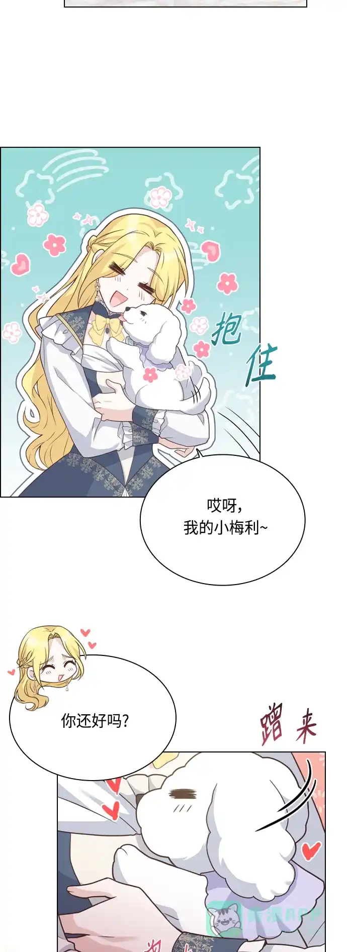《陛下追不到的暴躁千金》第45话 第34页
